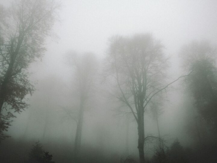 Heaton Park
